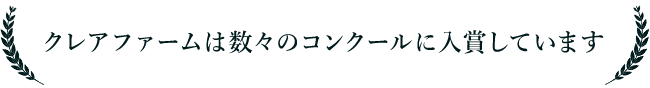 数々のコンクールに入賞