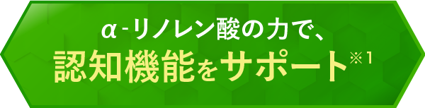 α‐リノレン酸の力で、 認知機能※をサポート