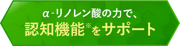 α‐リノレン酸の力で、 認知機能※をサポート